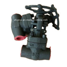 API602 800lb Forged Steel A105 Thread End NPT Gate Valve